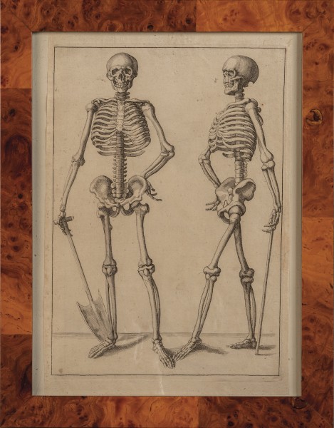 Skeleton Engraving