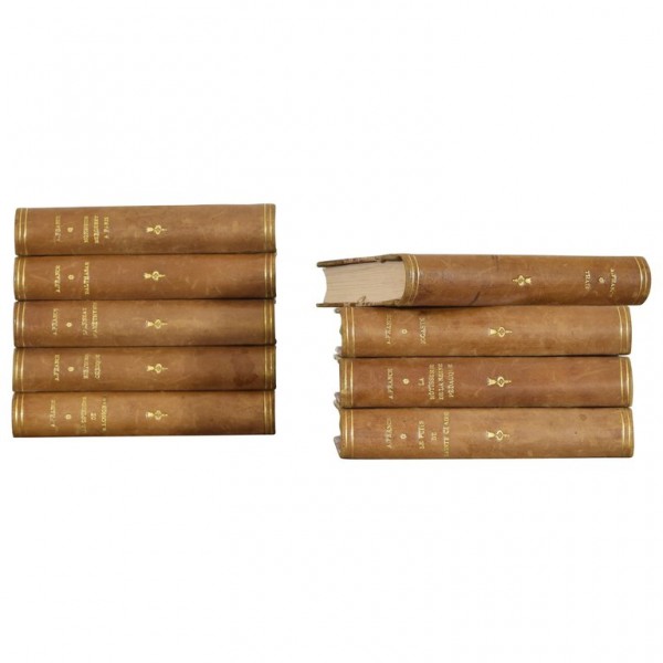 Set of 9 Leather Bound Histories