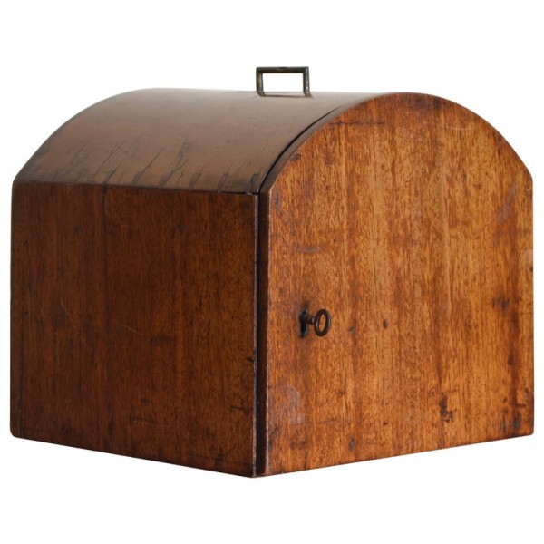 Mahogany and Brass Instrument Cabinet