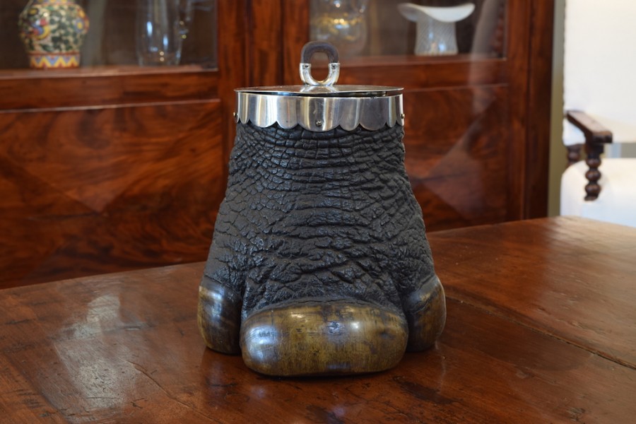 Elephant Foot Container