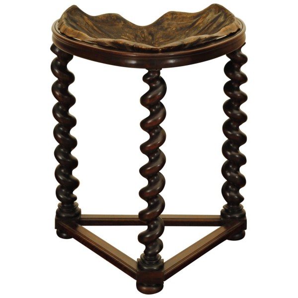 Sea Tortoiseshell on Turned Walnut Stand