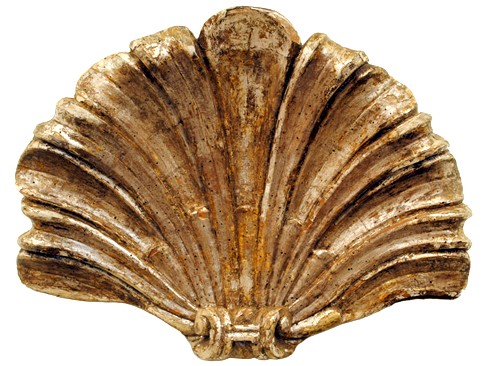 Carved Mecca Shell Fragment