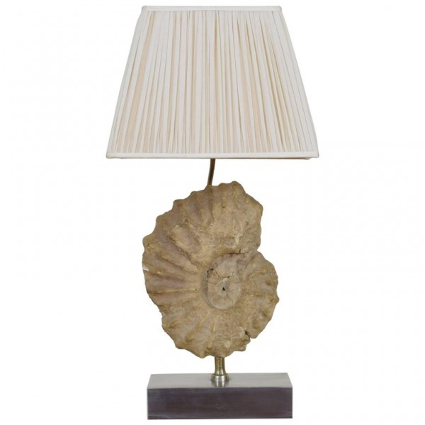 Ammonite Fossil Mounted as a Table Lamp on a Brushed Steel Base