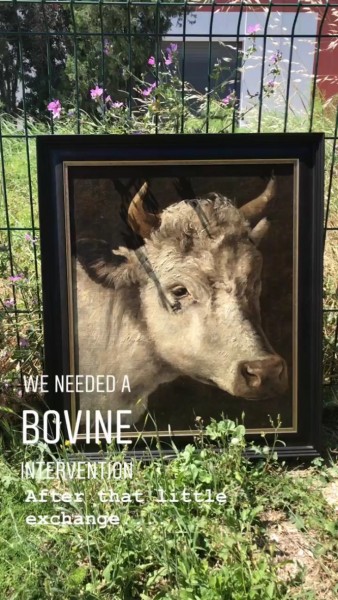 Oil on Canvas, Bovine