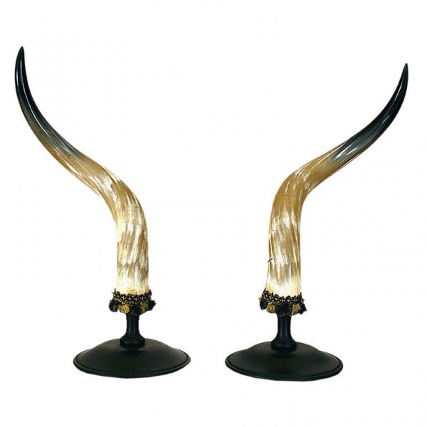 Pair of Horns Mounted on Turned Wooden Bases