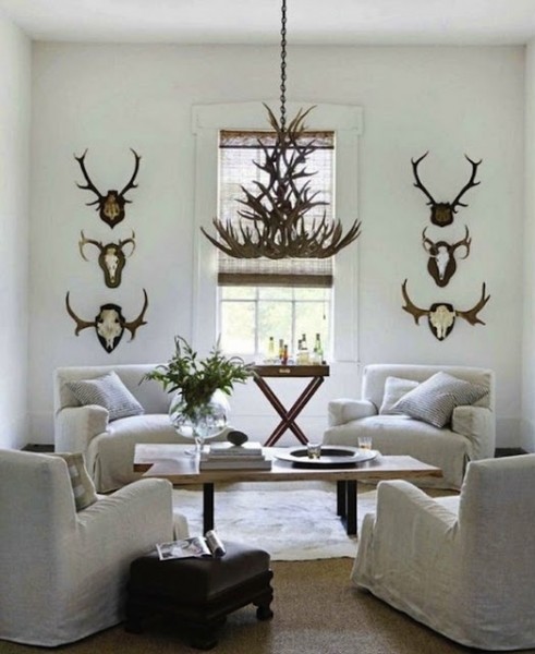 Elk Skull Mount on Wooden Backplate