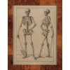 Skeleton Engraving