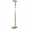 Brushed Brass and Wooden Floor Lamp