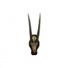 Rare Sable Antelope Skull and Horn Mount