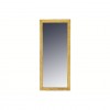 Tall Giltwood and Gilt Gesso Mirror