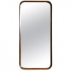 Mahogany Wall Mirror or Tray