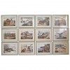 Group of 12 Hand Colored Framed Engravings of Animals in Habitat