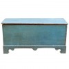 Blue Painted Trunk