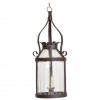 Wrought Iron and Shaped Metal 1-Light Lantern