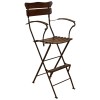 Forged Iron and Wooden Folding Umpire's Chair