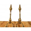 Pair of Wrought Iron and Bronze Andirons