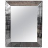 5-Pane Mirror