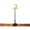 Bronze Claw Foot Floor Lamp