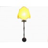 Pair of Wrought Iron Sconces