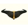 Cape Buffalo Mount