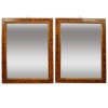 Pair of Faux Tortoise Painted Frames/Mirrors