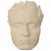 Limited 1st Edition Numbered Series  Plaster Cast of the Life Mask of Beethoven