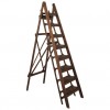 Folding Library/Gallery Ladder