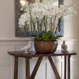 Ann James Interior Design