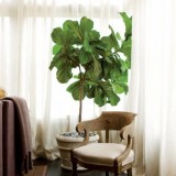 Westbrook Interiors